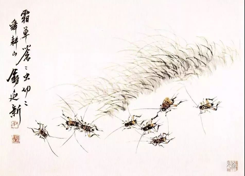 齐白石水墨小品欣赏,齐白石虫草长卷
