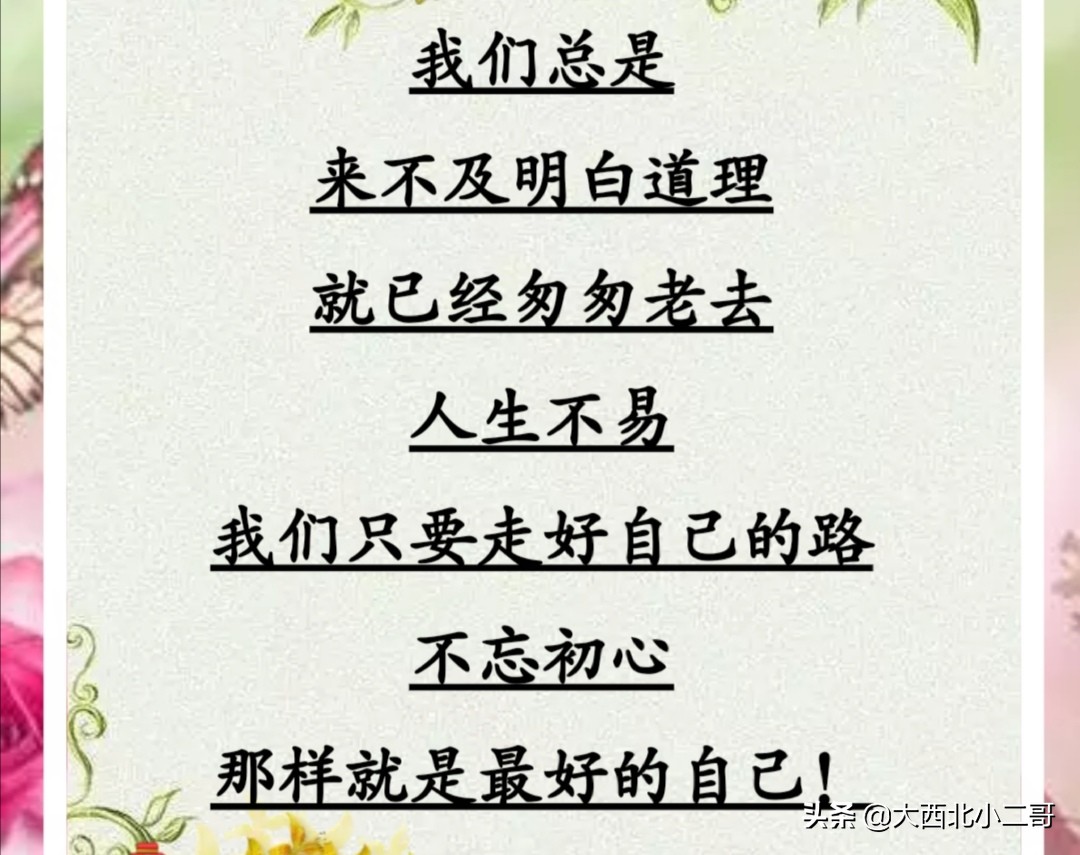 我的生活相册作文,生活相册制作