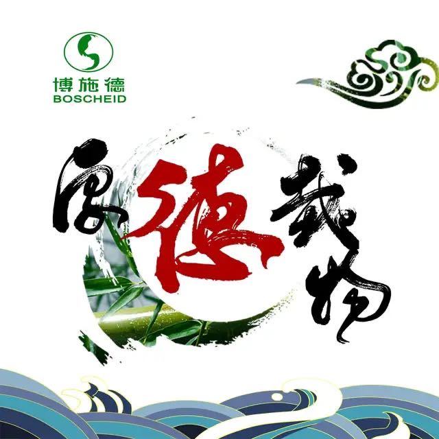 猫猫品种介绍大全,猫猫品种视频大全