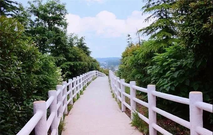 息县龙湖公园最美风景,美好可期风光无限