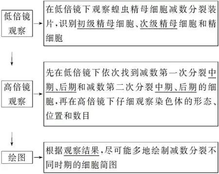 高中生物实验方法归纳图怎么画的,高中生物实验专题归纳