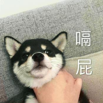 狗子鼻子干裂了怎么办,为什么狗子的鼻子干干的