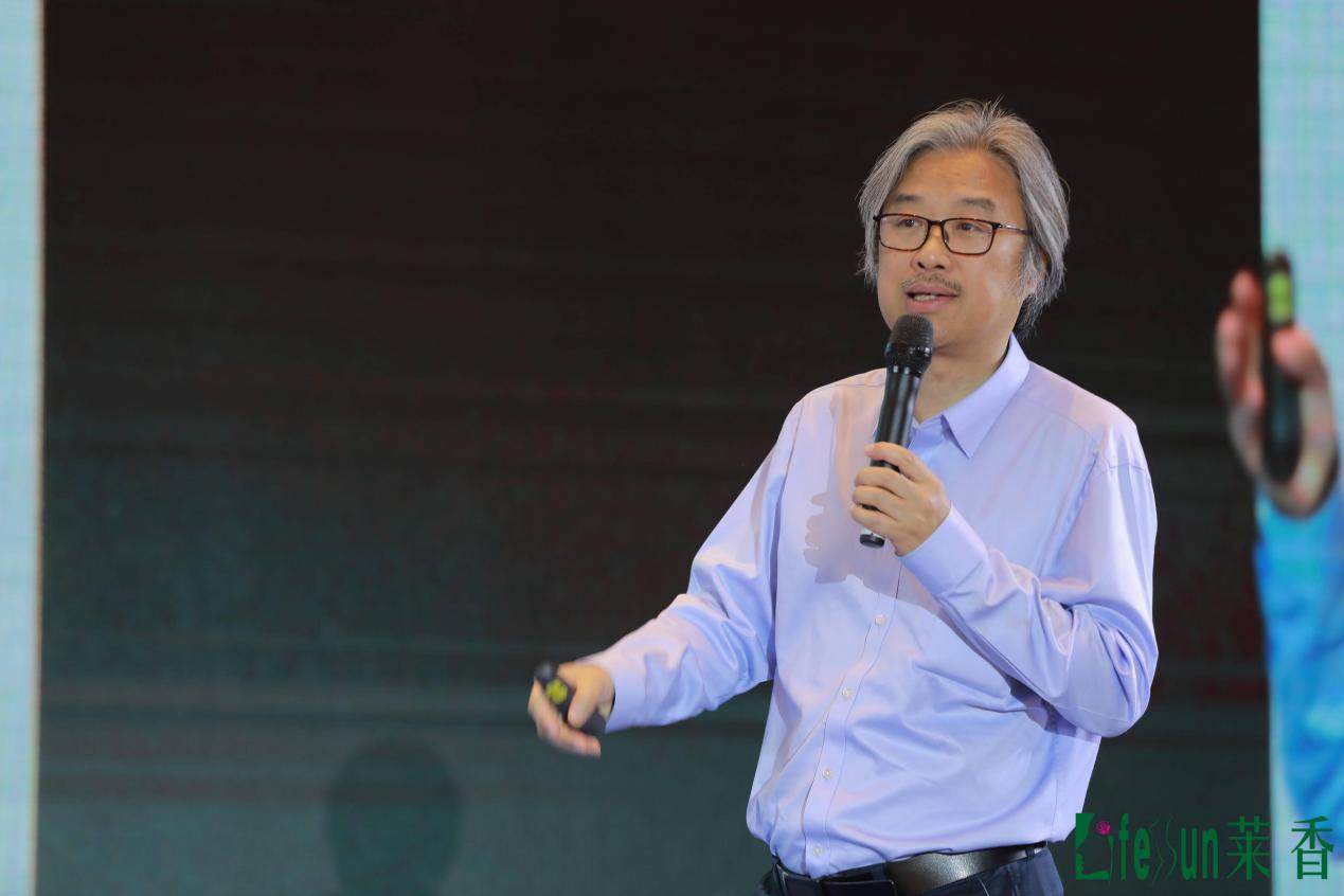 静心养生禅修,静心养心禅悟人生