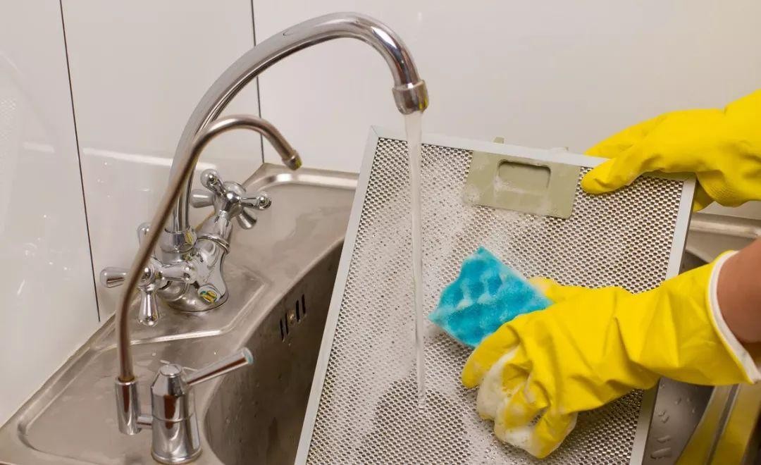 太恶心！女子吃麦当劳汉堡发现大量活虫！为何会出现这种情况？