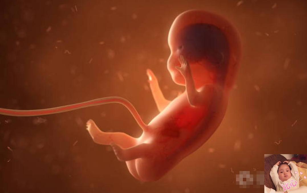 羊水是生命之源,羊水代表胎儿发育情况吗