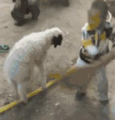 30种网赚骗术套路揭秘超深度干货,常见的20种网赚骗术揭秘