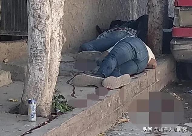 疫情下旅游胜地成杀人天堂32人死温哥华富豪尸体被冲上海滩