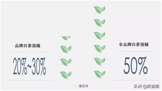 深度分析白茶市场,白茶品牌化发展道路要怎么走