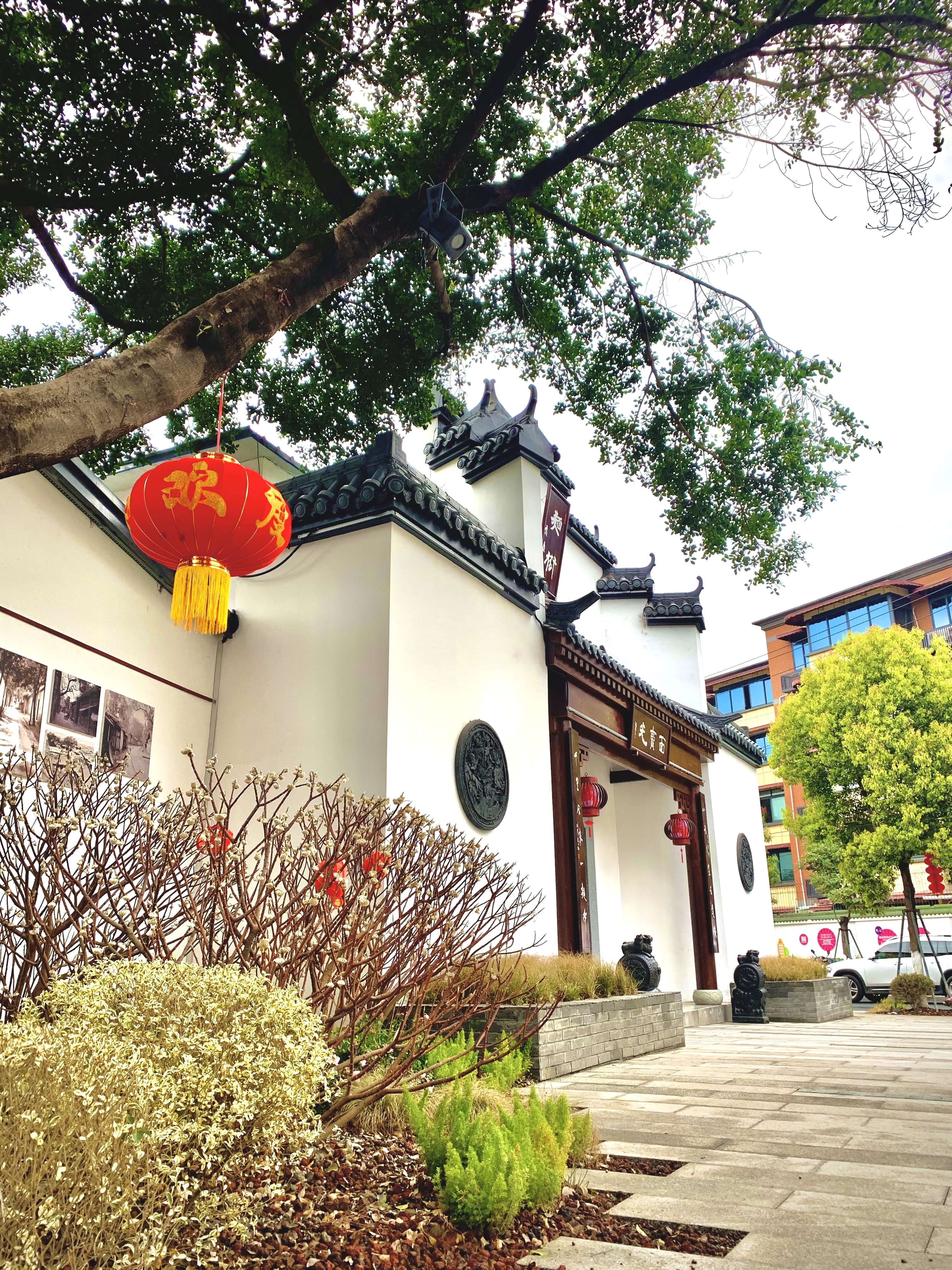 金牛幸福生活图片大全,金牛幸福素材