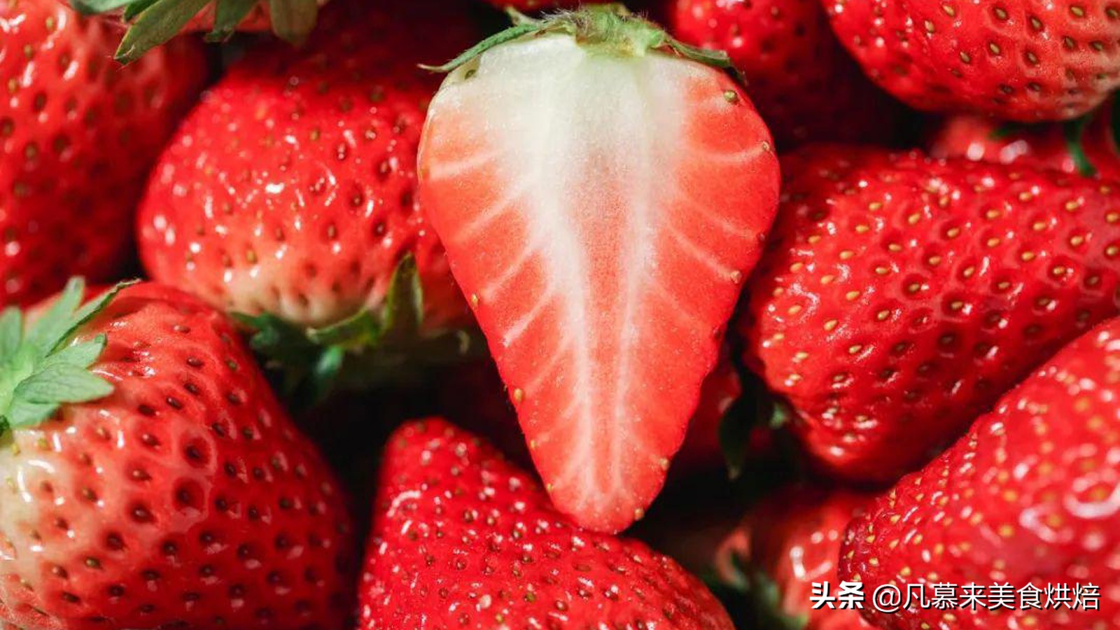 草莓哪个品种最好吃又好种,2018产量最好最大的草莓品种