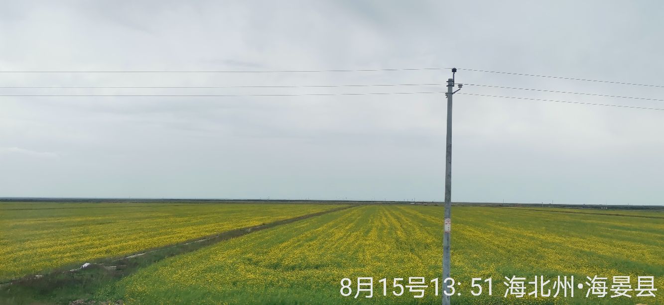 重庆西到拉萨z223列车怎么购票,重庆到拉萨火车硬卧啥样