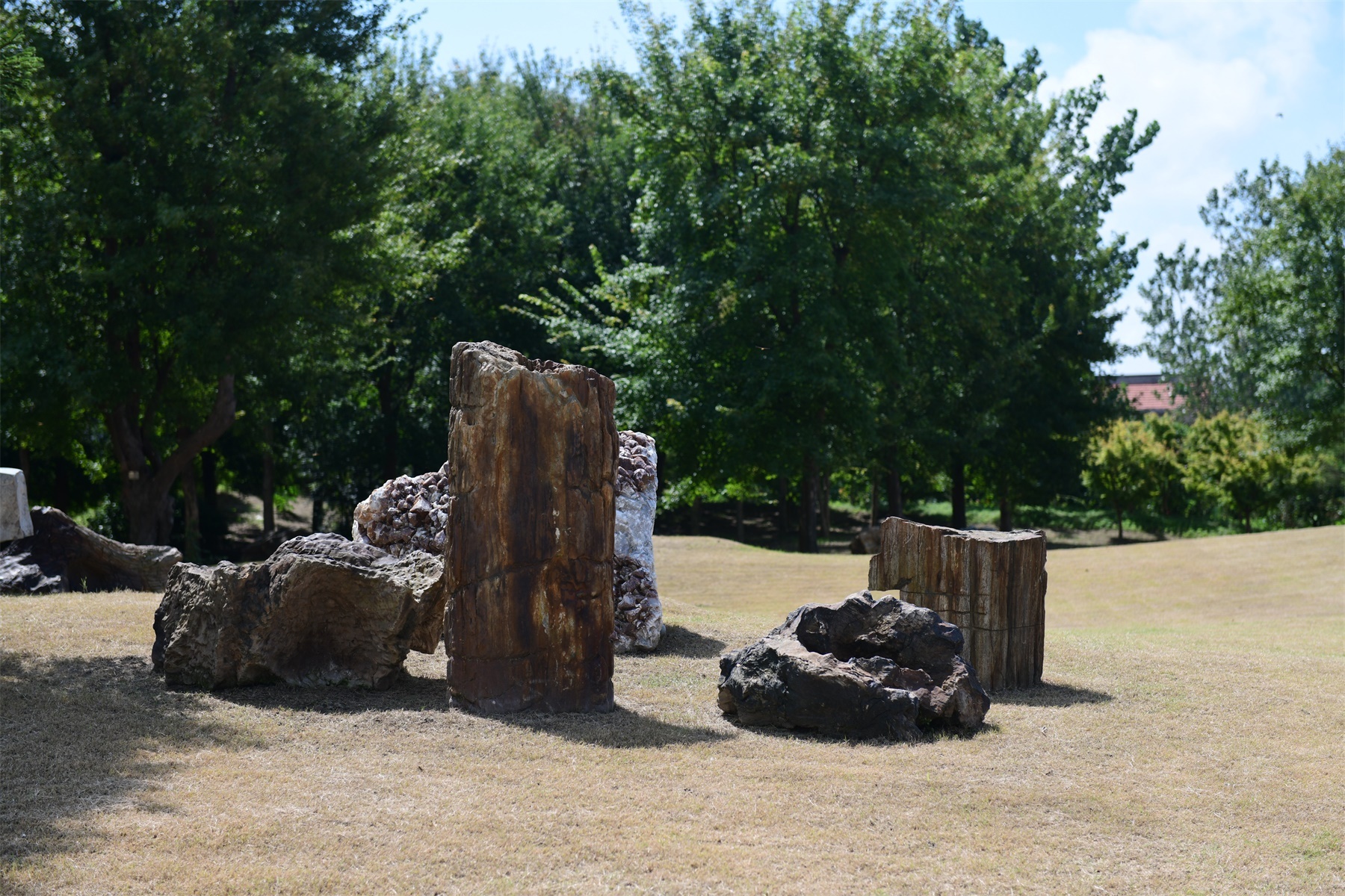 南通绿博园室内,南通绿博园风景