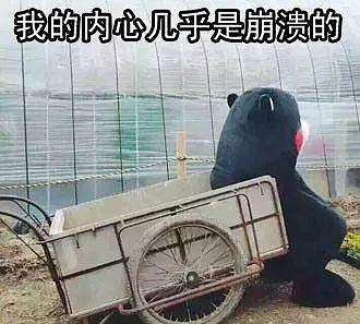 西安月平均工资2023平均工资标准,西安市今年的平均工资是多少