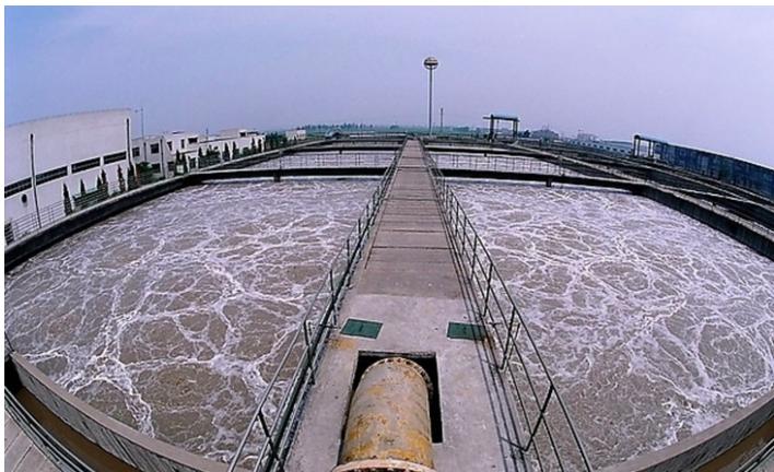 中国人每天排粪便多少吨,中国人每天能排多少粪便