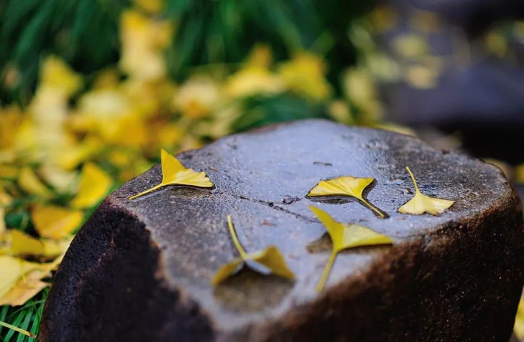 最好的家风是善良深度好文,关于善良的家风故事