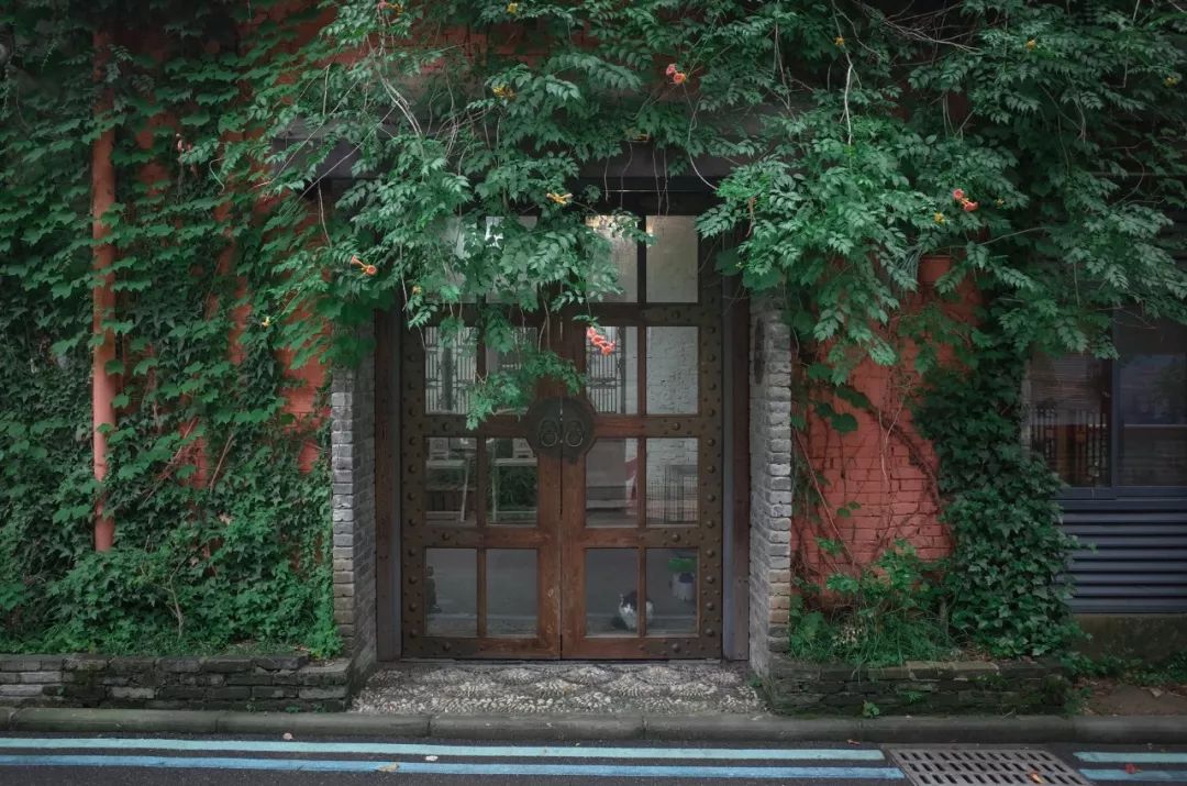 武汉11月打卡景点和网红地,武汉50个值得打卡的地方