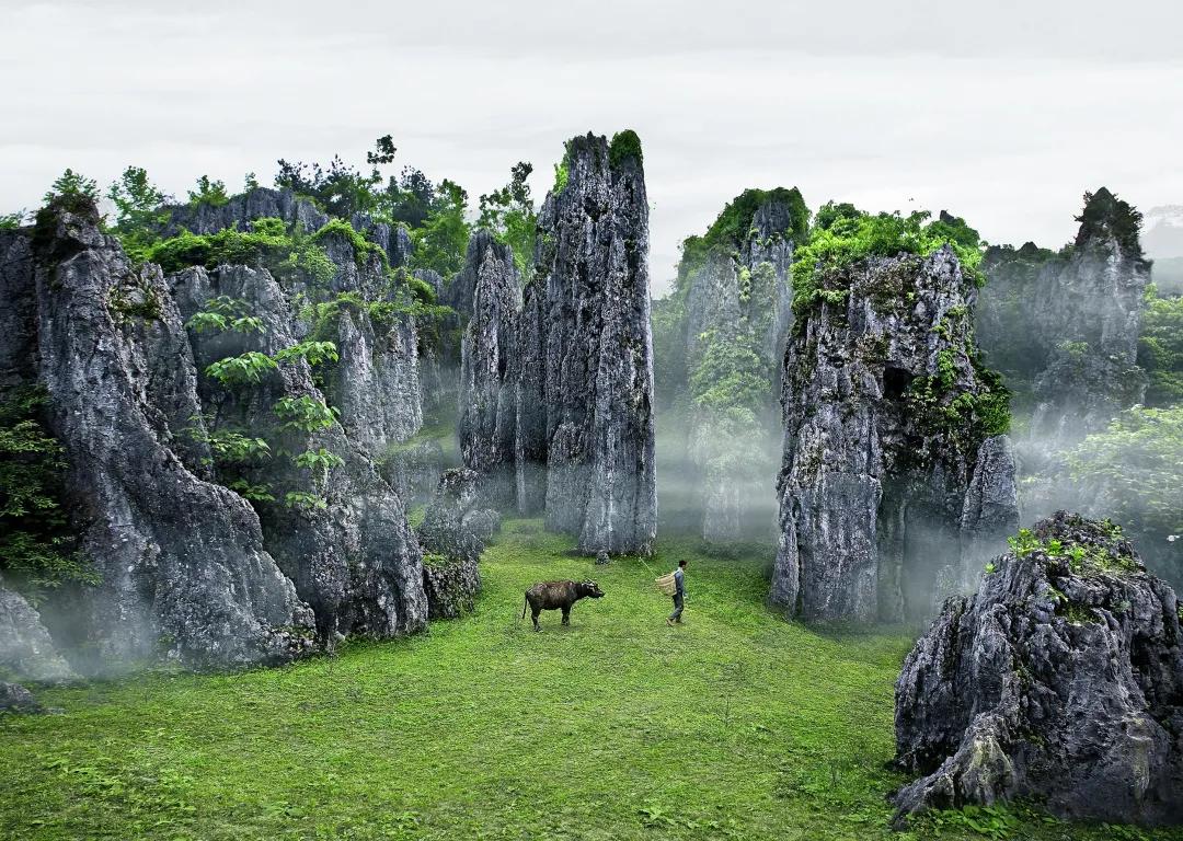 乡游黔中|出发吧！探思南石林奇观，赏幽深人间仙境