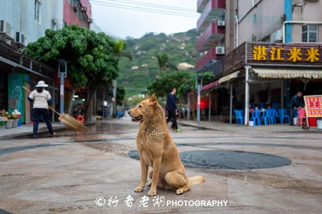 如何玩转外伶仃岛,广东省外伶仃岛游玩攻略