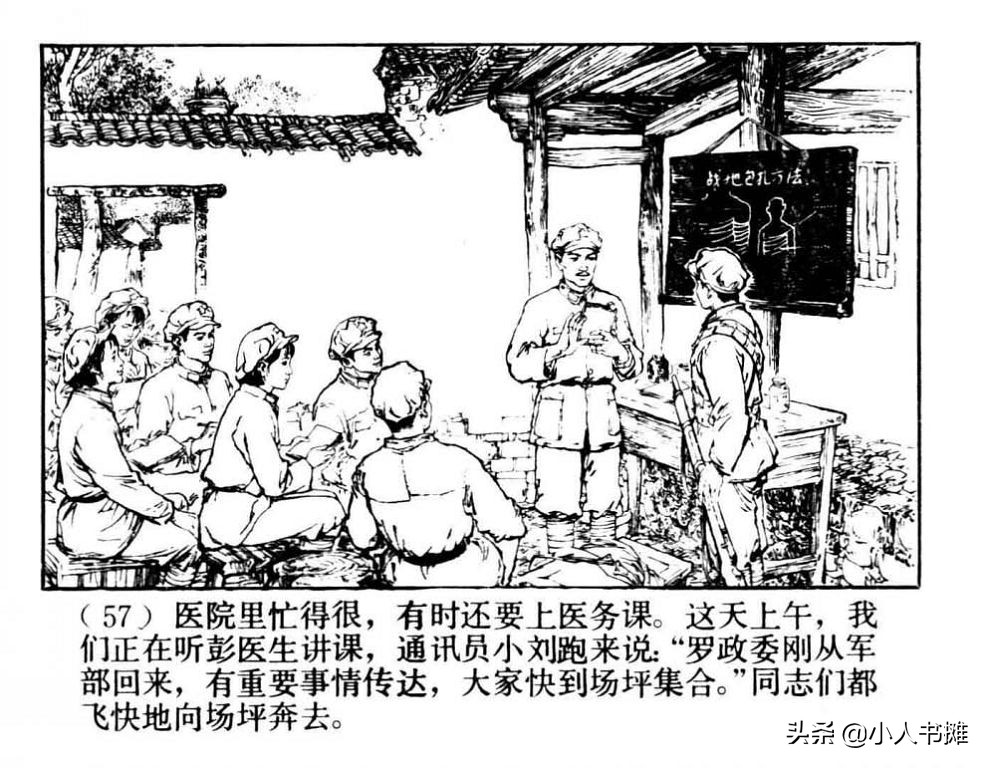 朝阳花-上海人民美术出版社1981陆成法陆小弟绘「上」