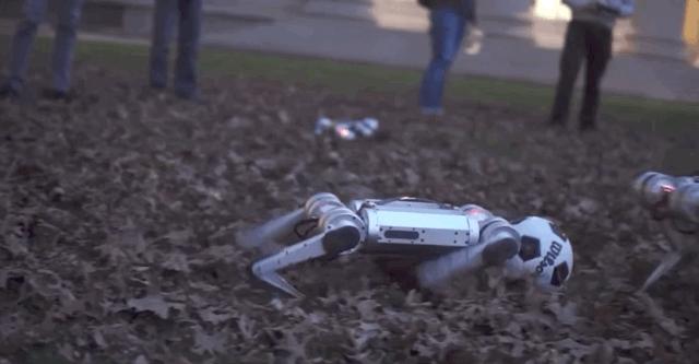 高端智能机器狗,wavego仿生机器狗