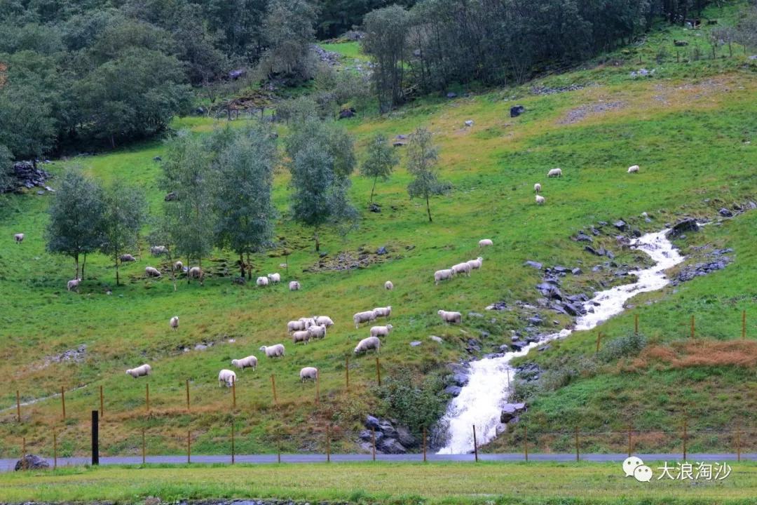 北欧三国旅游介绍,北欧三国旅游指南