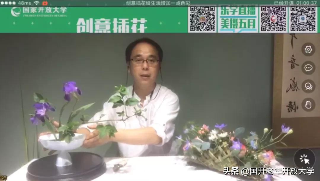 老年大学插花教程,创意插花课
