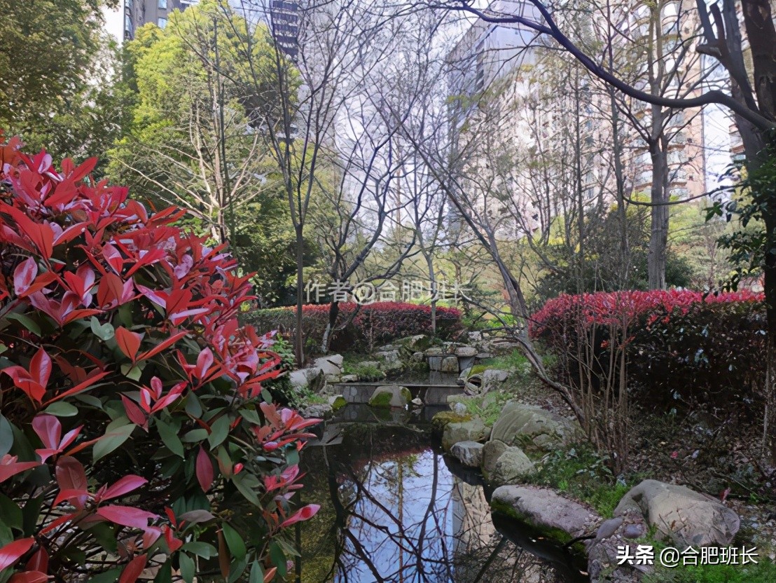 合肥水景房推荐,合肥绿地海顿公馆是住宅吗