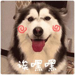 @三灶养犬人:这里有个活动与您有关