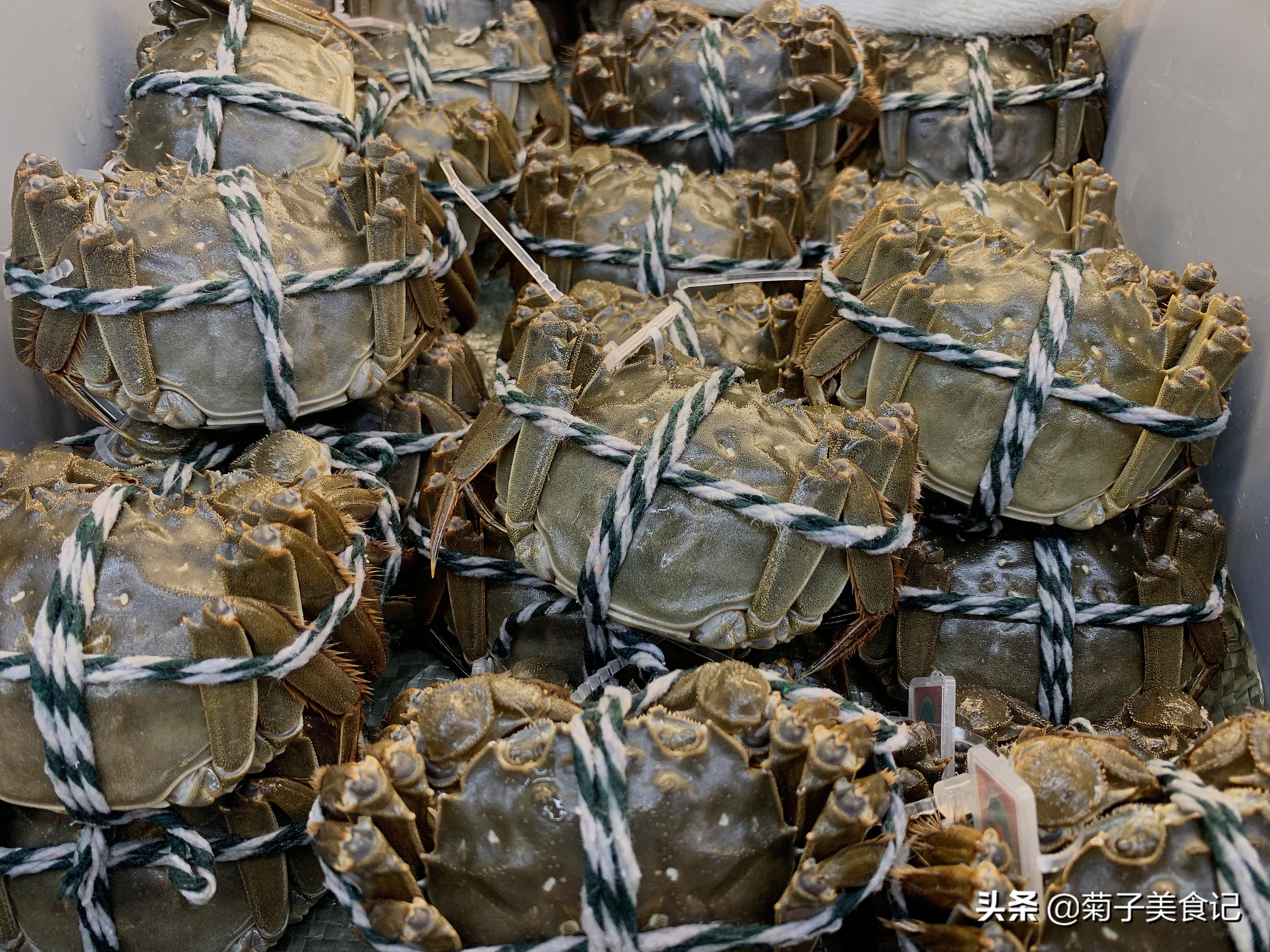 清蒸大闸蟹送蘸酱,大闸蟹做法清蒸酱汁