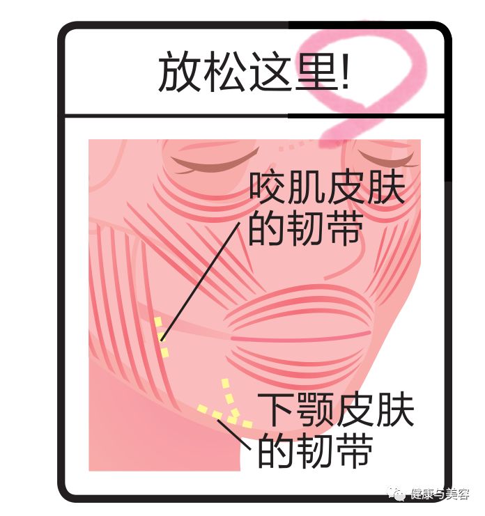 谢娜示范瘦脸操，5秒钟按压操消除法令纹！