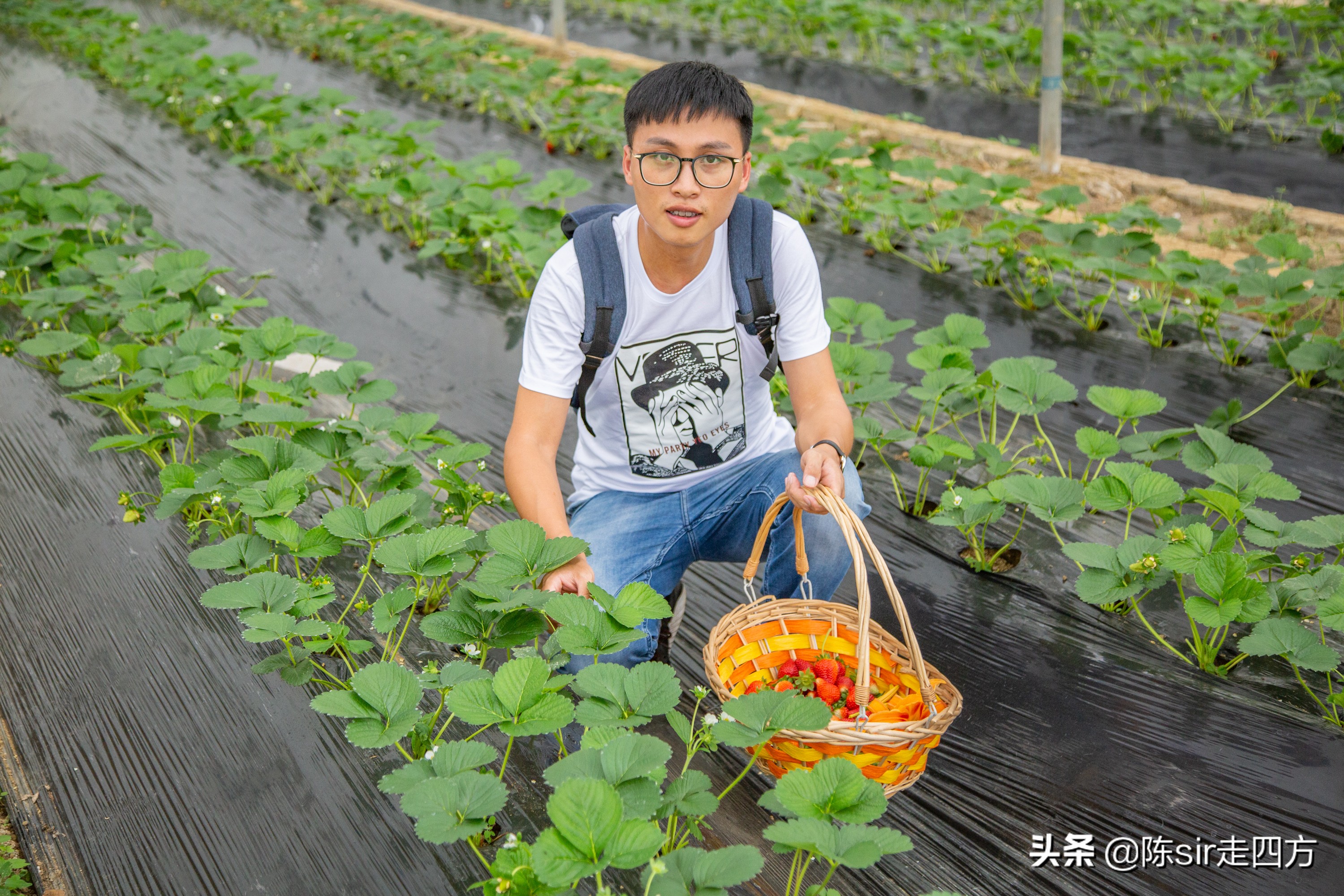 重庆到桐梓自驾游攻略路线,重庆到贵州桐梓三日游最佳路线图
