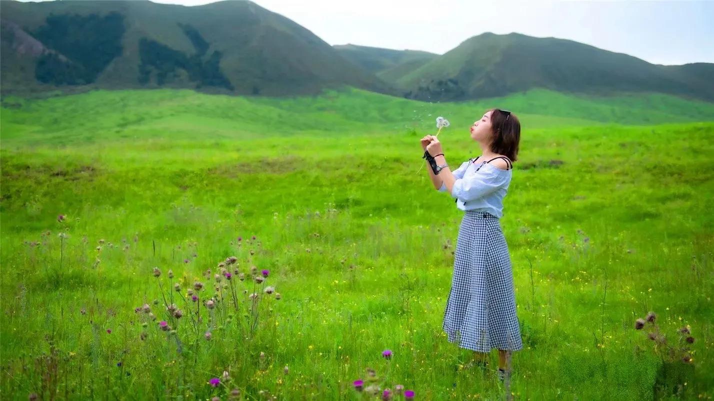 美不胜收的红原大草原,最美蓝天白云大草原