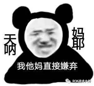 万国觉醒目前最恶心阵容,万国觉醒奥尔良助阵技能推荐