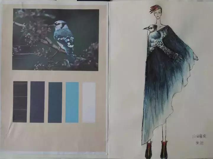 想学习服装设计怎么入手,想学习服装设计到哪里学