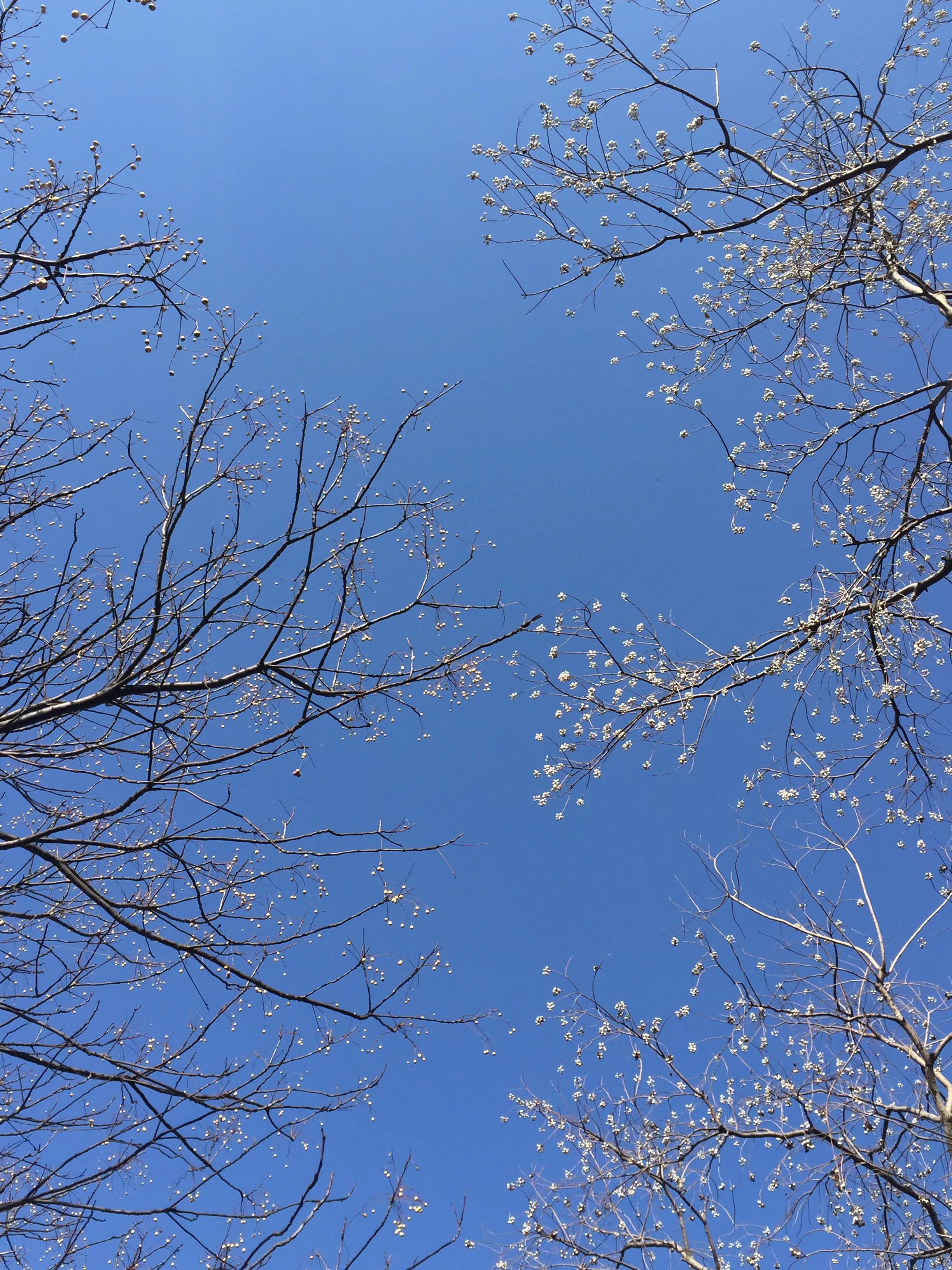 自驾游普陀山旅游攻略,广州到普陀山旅游攻略