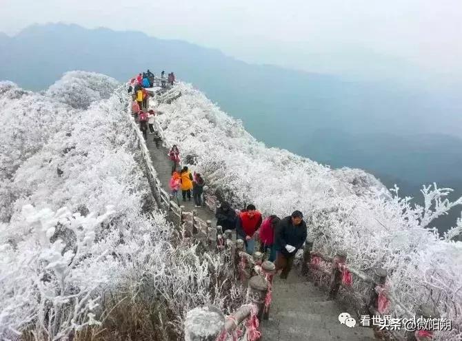 广西人丁最旺的地方,广西含硒最多的地方