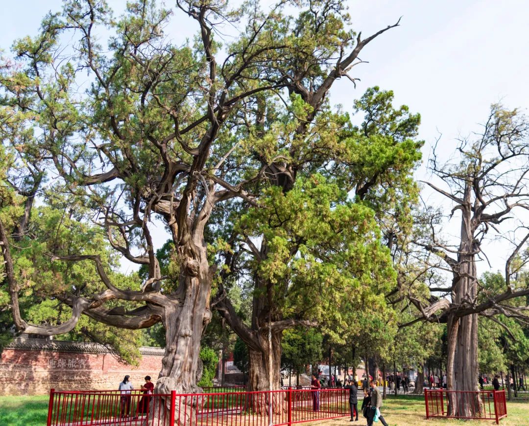 重新认识中国文化,嵩山最具代表的地方