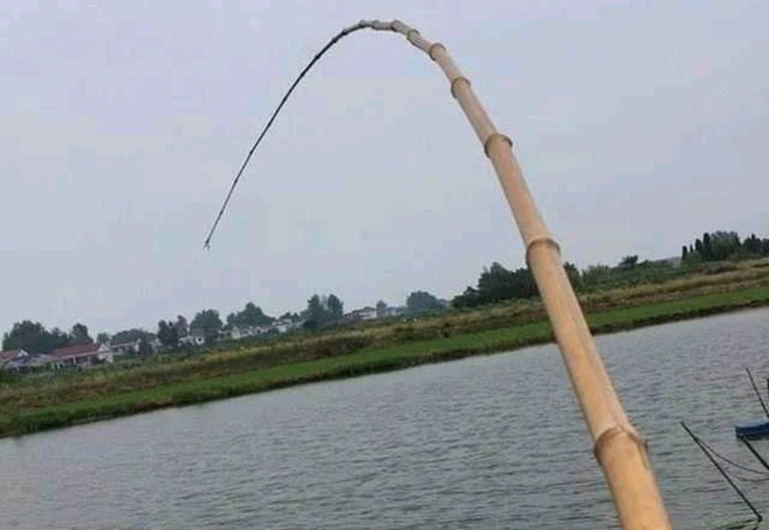 钓友公认十款最好渔具,让无数钓友梦寐以求的10款渔具