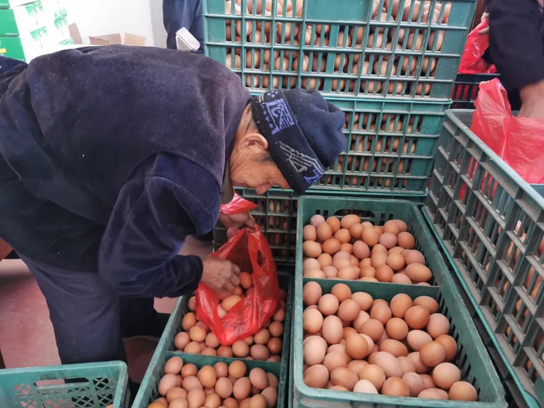 赵耀辉幼蝶破茧完整版,赵耀辉视频