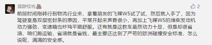飞碟汽车单排,飞碟新能源卡友