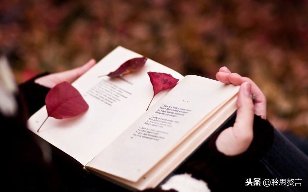 十首顶级哲理诗词名句,经典诗句励志古诗句