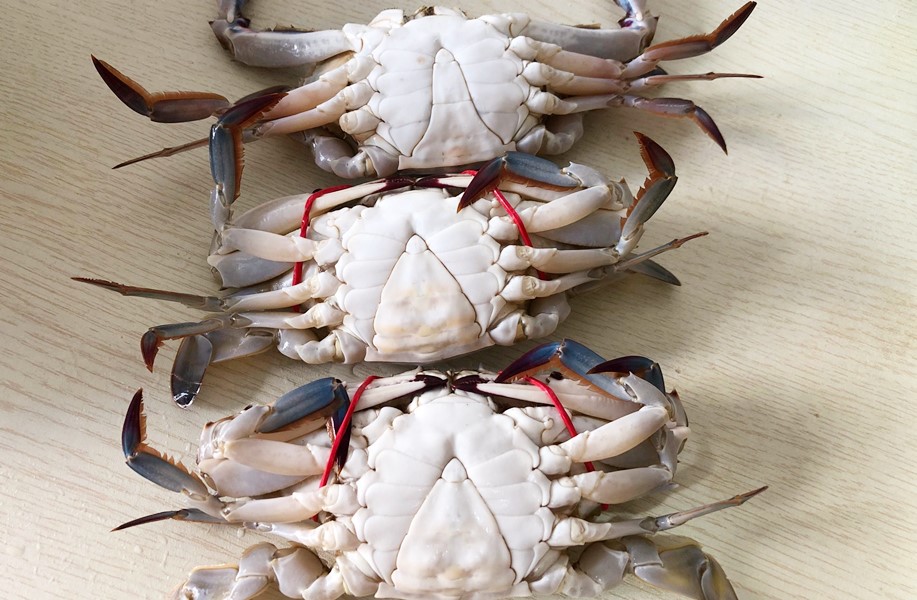 买螃蟹看什么,买螃蟹怎么选肥的