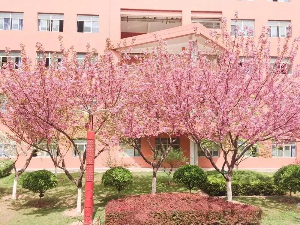 西安最牛学校排名,西安十大中学