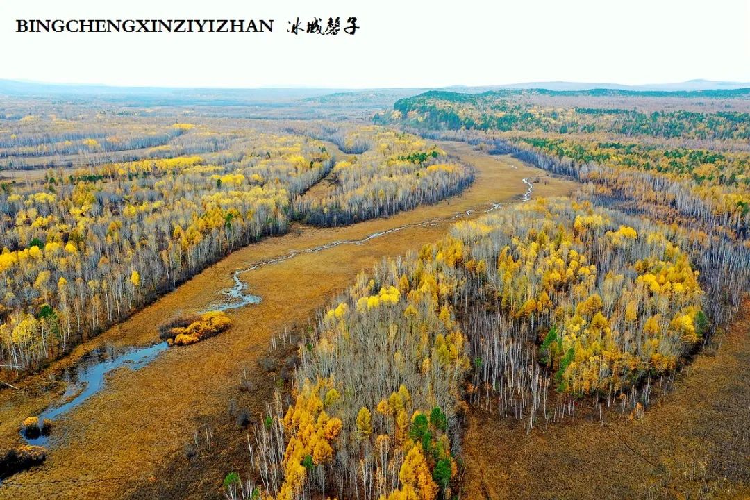 深秋的大兴安岭色彩斑斓,大兴安岭的秋天美景