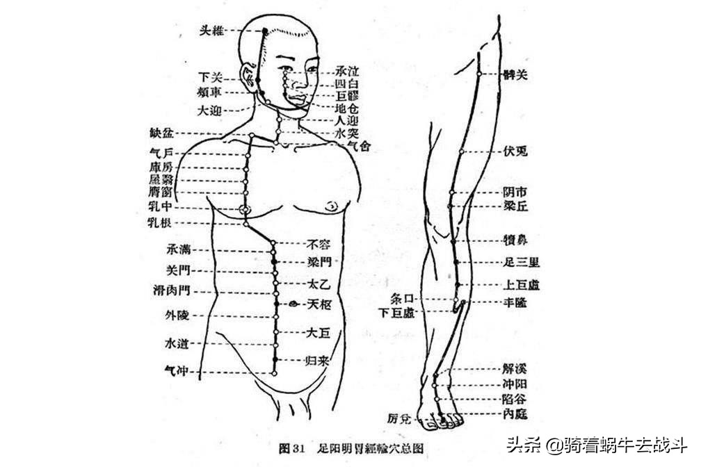 按摩胃经的正确手法和时间,按摩胃经穴有什么好处