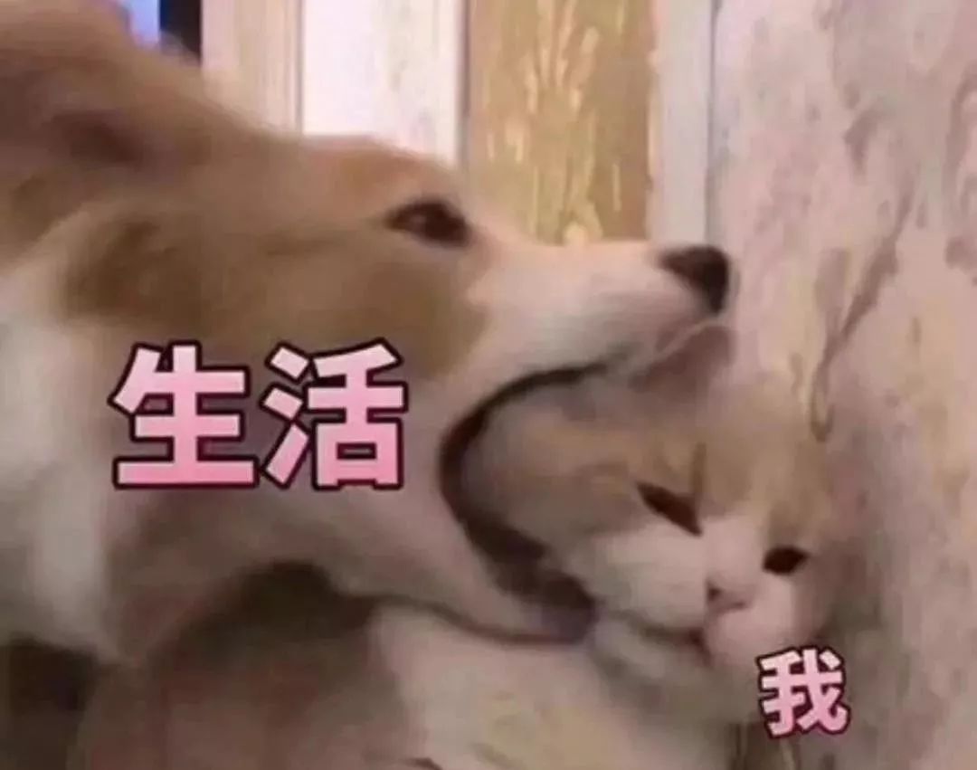 1月5号一年一檀！度过极寒一年后2020年钱往哪儿投？