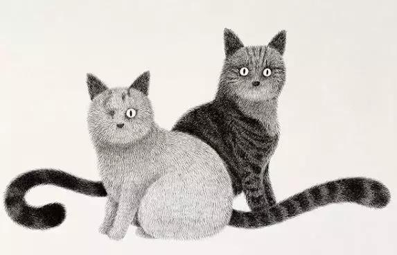 她用2元针管笔作画便惊艳了世界,他用粉笔画了一只猫