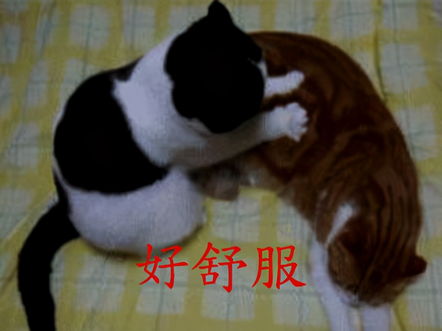 如何学习按摩师,怎么样才能做个最好的按摩师