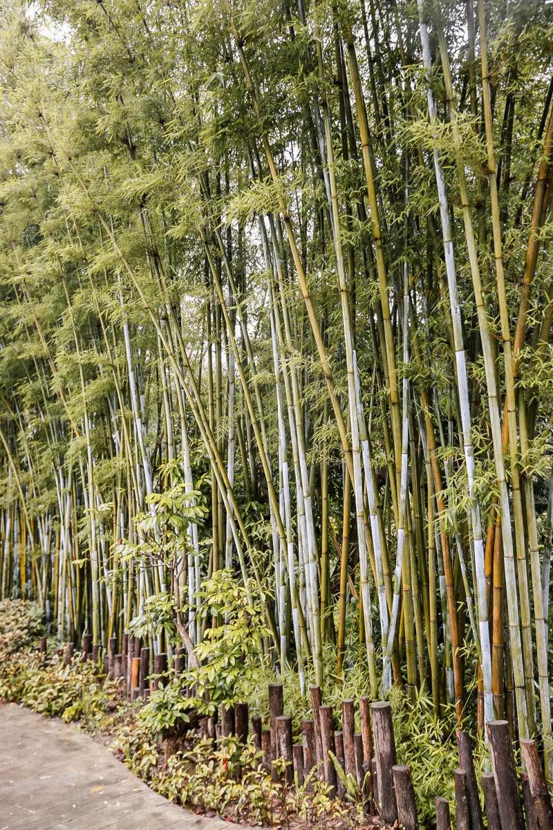 在大山深处幽静绝美的村落,深藏大山中的村落
