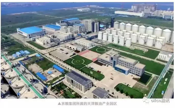 京粮控股业绩预计,2018京粮控股业绩半年报